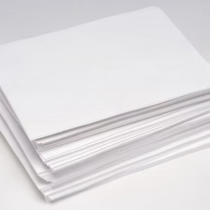 Papel couché (fosco e brilho) várias gramaturas