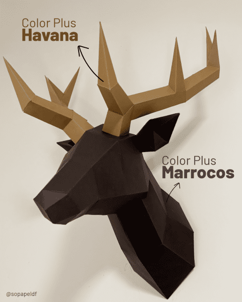 Havana - Imagem 3