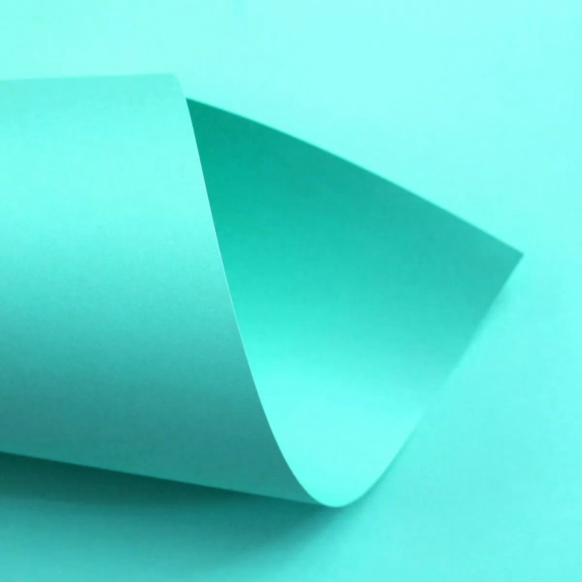 Color Plus Aruba 120g e 180g