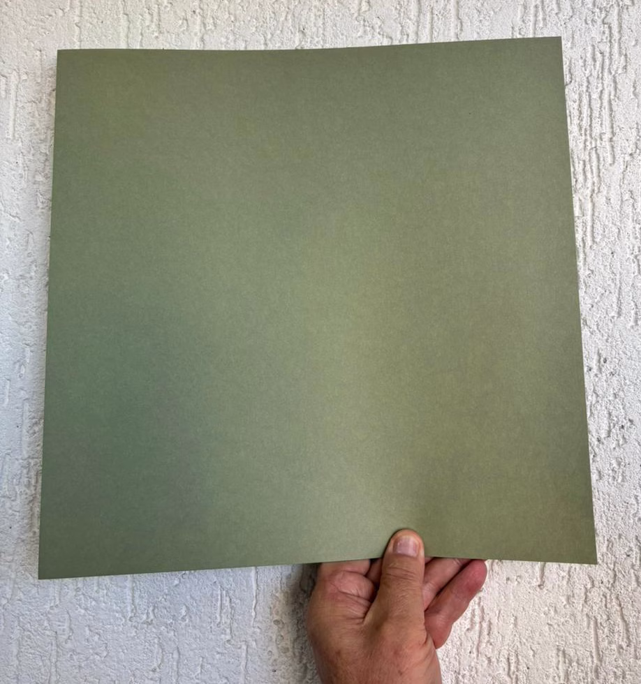 Color Plus Floresta 120g, 180g e 240g - Imagem 2