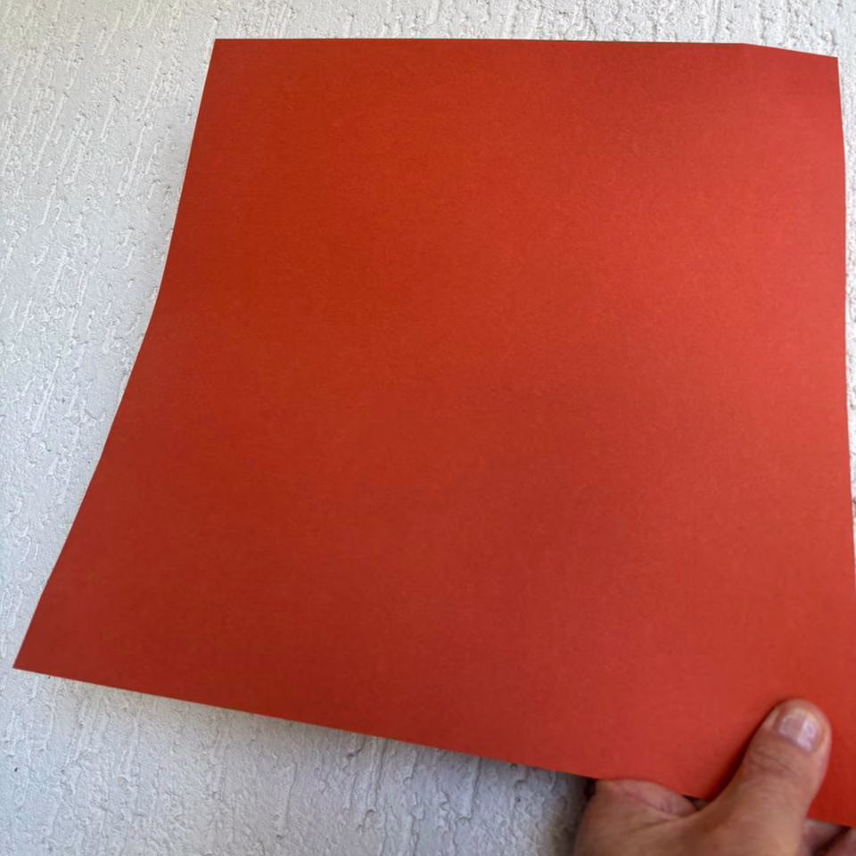 Color Plus Terracota 120g, 180g e 240g - Imagem 3